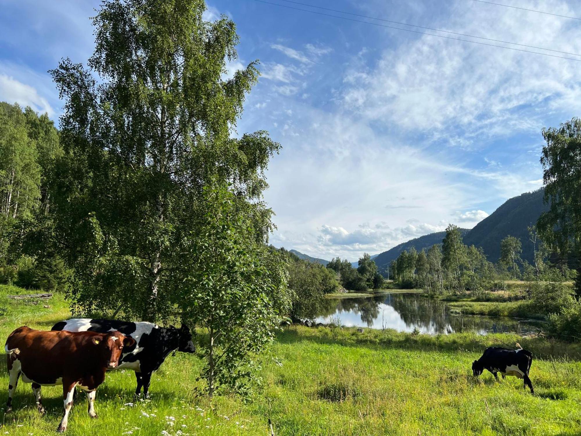 Sevletunet B&B And Cabins Rodberg Екстериор снимка