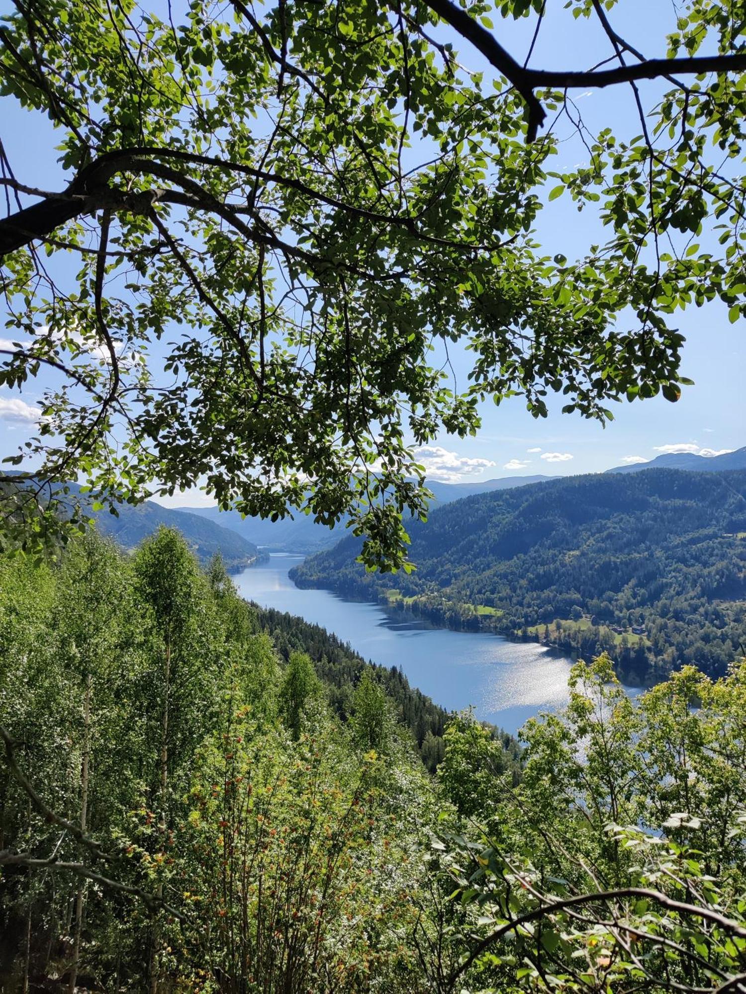 Sevletunet B&B And Cabins Rodberg Екстериор снимка